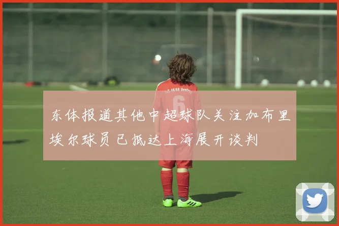 东体报道其他中超球队关注加布里埃尔球员已抵达上海展开谈判