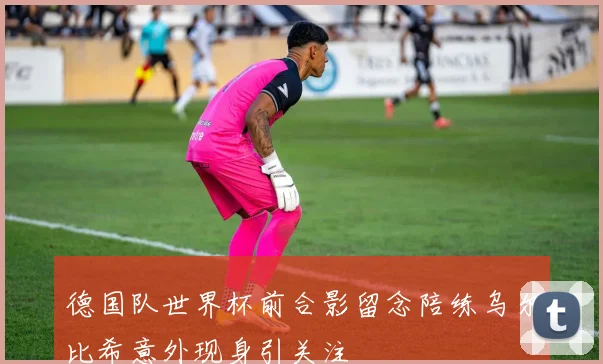 德国队世界杯前合影留念陪练乌尔比希意外现身引关注