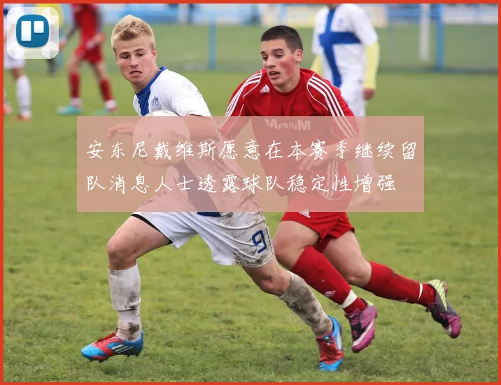 安东尼戴维斯愿意在本赛季继续留队消息人士透露球队稳定性增强
