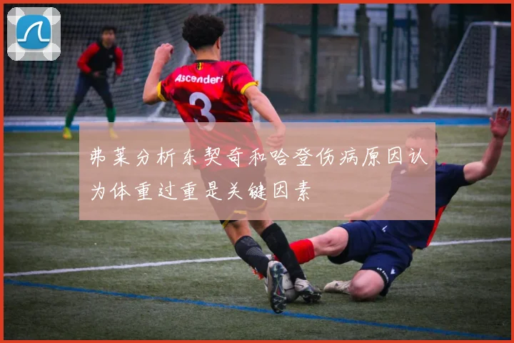 弗莱分析东契奇和哈登伤病原因认为体重过重是关键因素