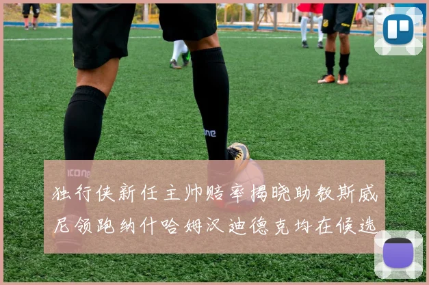 独行侠新任主帅赔率揭晓助教斯威尼领跑纳什哈姆汉迪德克均在候选之中